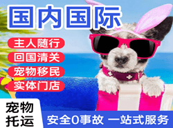 朔州机场邮寄国际宠物托运 【国